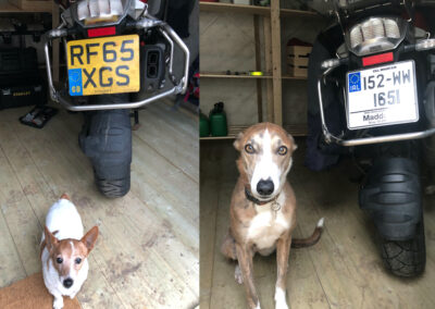 Out with there old and in with the new: Buster (left) and Skye supervise the UK to Irish re-registration of the bike. Photographs: Peter M